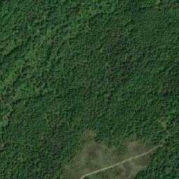 Satellite imagery of Tamarack Point, CA