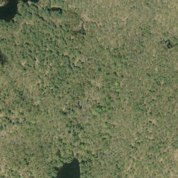 Satellite imagery of Jackpine Mountain, CA
