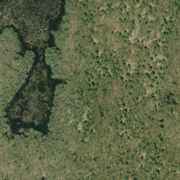 Satellite imagery of Big Mountain, CA