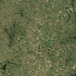 Satellite imagery of Big Mountain, CA