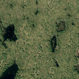 Satellite imagery of Big Mountain, CA