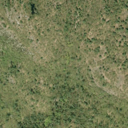 Satellite imagery of Camboose Mountain, CA