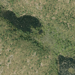 Satellite imagery of Jackpine Mountain, CA
