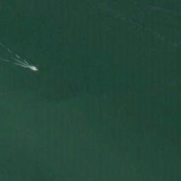 Satellite imagery of FIRST DISTRICT — NGS RD3122 — Vancouver, US, US