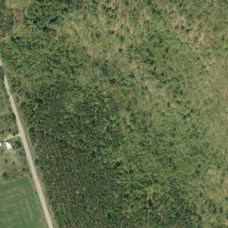 Satellite imagery of Camboose Mountain, CA
