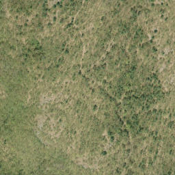 Satellite imagery of Jackpine Mountain, CA