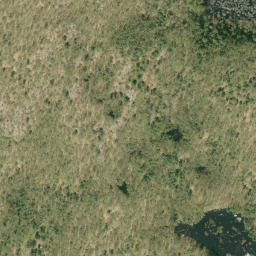 Satellite imagery of Jackpine Mountain, CA