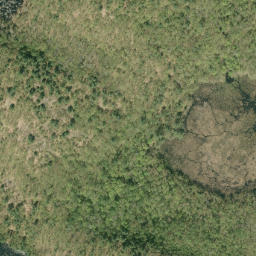 Satellite imagery of Jackpine Mountain, CA
