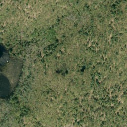 Satellite imagery of Big Mountain, CA