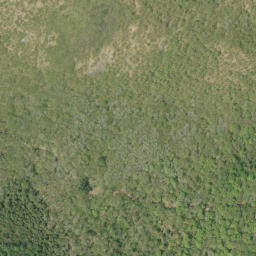 Satellite imagery of Sauers Mountain, CA