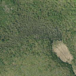 Satellite imagery of Sauers Mountain, CA
