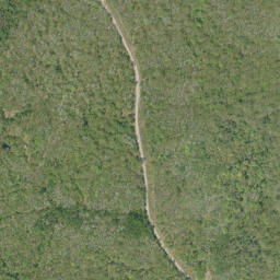 Satellite imagery of Sauers Mountain, CA