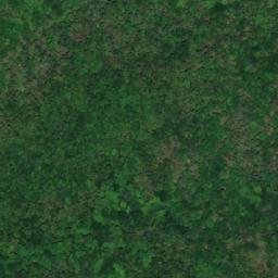 Satellite imagery of Benson Point, CA