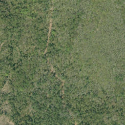 Satellite imagery of Sauers Mountain, CA