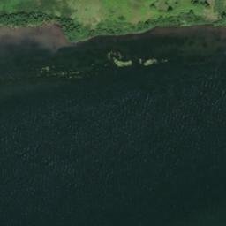 Satellite imagery of Fir Point, US