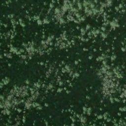 Satellite imagery of Tualatin Mountains, US