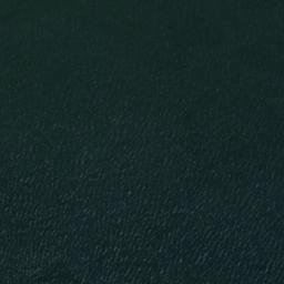 Satellite imagery of Fir Point, US