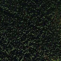Satellite imagery of Telephone Ridge, US