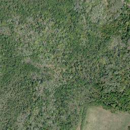Satellite imagery of Thomas Point, CA