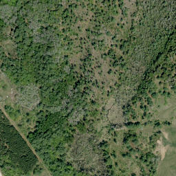 Satellite imagery of Hoffmans Point, CA
