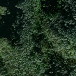 Satellite imagery of Waespe Point, US