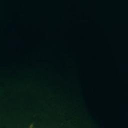 Satellite imagery of Maple Point, US