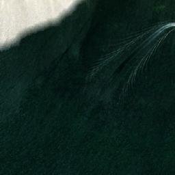 Satellite imagery of Mys Chornyi, UA