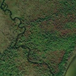 Satellite imagery of Maple Point, US