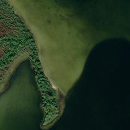Satellite imagery of Maple Point, US