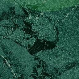 Satellite imagery of Sedge Point, US
