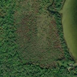 Satellite imagery of Maple Point, US