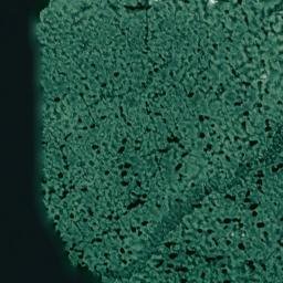 Satellite imagery of Grapevine Point, US