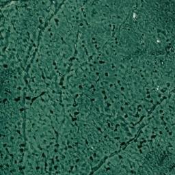 Satellite imagery of Grapevine Point, US