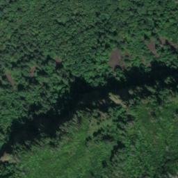 Satellite imagery of Dalton Point, US