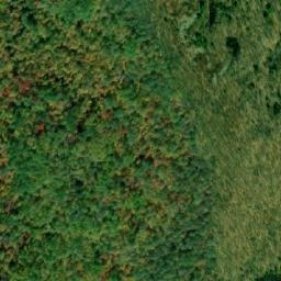 Satellite imagery of Gun Lake Mountain, CA