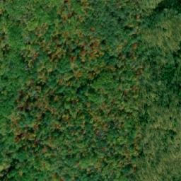 Satellite imagery of Gun Lake Mountain, CA