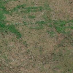 Satellite imagery of Bear Point, US