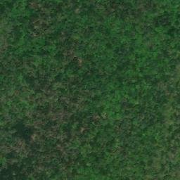 Satellite imagery of White Cliff, CA