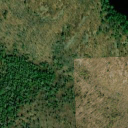 Satellite imagery of Burnetts Mountain, CA