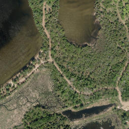 Satellite imagery of Long Point, CA