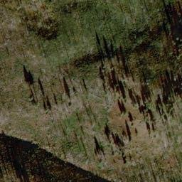 Satellite imagery of Brushy Ridge, US