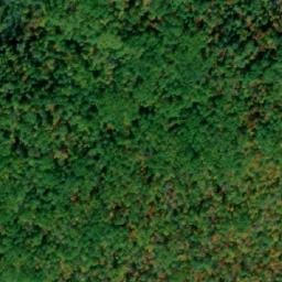 Satellite imagery of Angelo Hill, CA