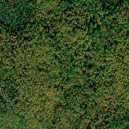 Satellite imagery of Opeongo Knob, CA