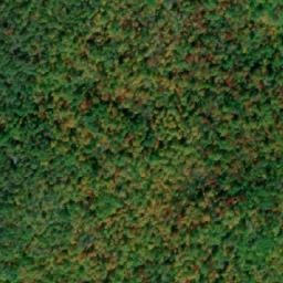 Satellite imagery of Angelo Hill, CA