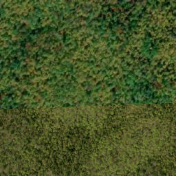 Satellite imagery of Opeongo Knob, CA