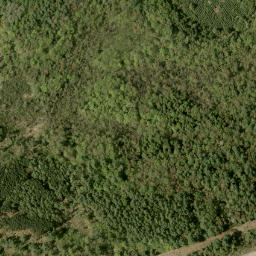 Satellite imagery of Pauls Hill, CA