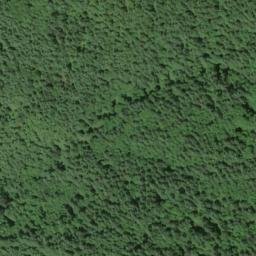 Satellite imagery of Fox Creek Ridge, US