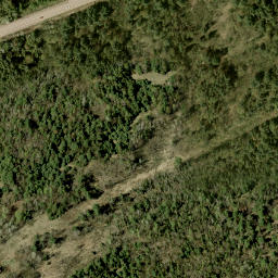 Satellite imagery of Shrine Hill, CA