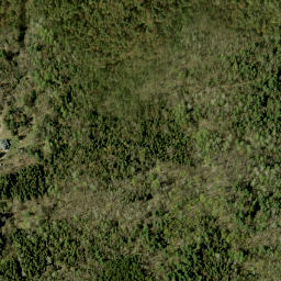 Satellite imagery of Shrine Hill, CA