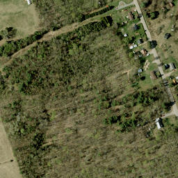 Satellite imagery of Wilno Pass, CA